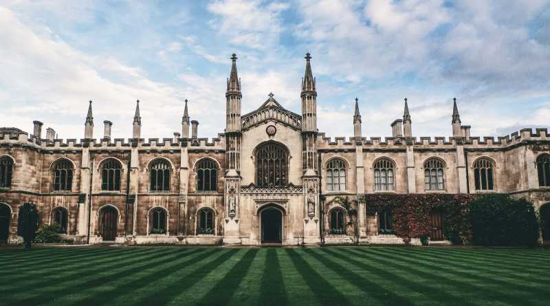 Crecimiento desbloqueado